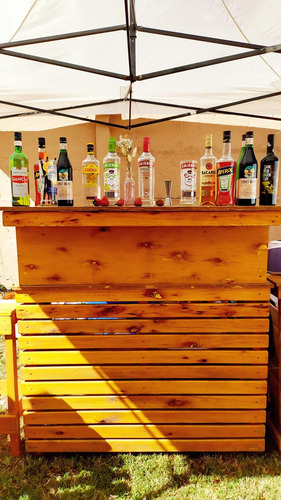 Imagen 5 de 9 de Barman Y Barra Móvil Para Eventos