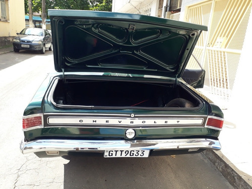 Opala Rabo De Peixe