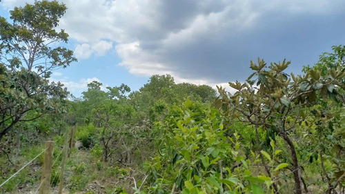 Área Chácara Cavalcante-go 1 Hectares