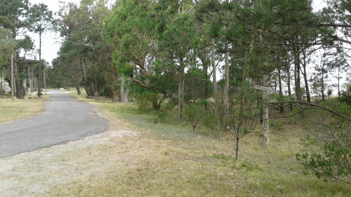 Campo En Colonia.