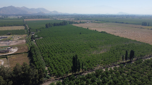 Venta De Campo En Calera De Tango Id. 53.452-cam