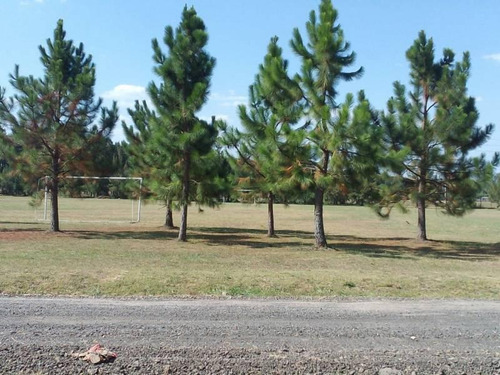 Imagen 3 de 22 de Excelente Ubicacion C/financiación - Lote En El Club De Campo Las Hojas - Marcos Paz