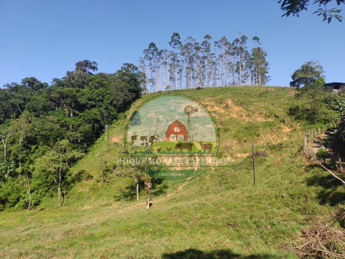 Imagem 14 de 28 de Fazenda À Venda No Vale Do Ribeira Sp Medindo 87,5 Alqueires Paulista Ref0978