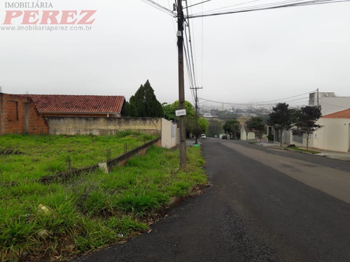 Imagem 4 de 7 de Terrenos Para Venda - 13650.5986