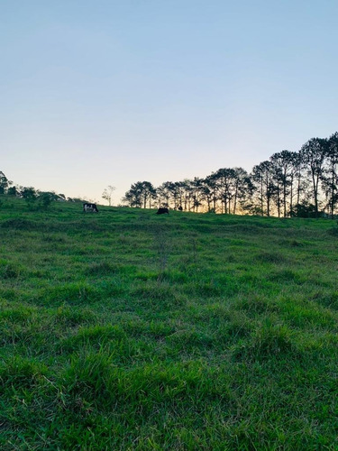 Imagem 6 de 14 de J20- 1.000m2 Em Jacarei Pronto Para Construir Apenas 79.000