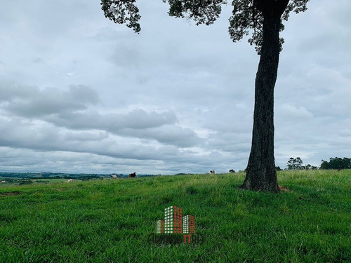 Imagem 4 de 12 de Area Para Venda Porto Feliz-sp - Ar-0029-1