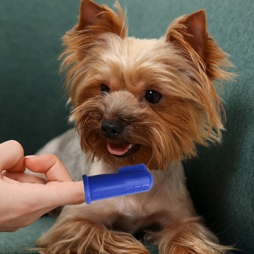 Cepillo De Dientes Para Perros Cepillo De Dientes Para Perro