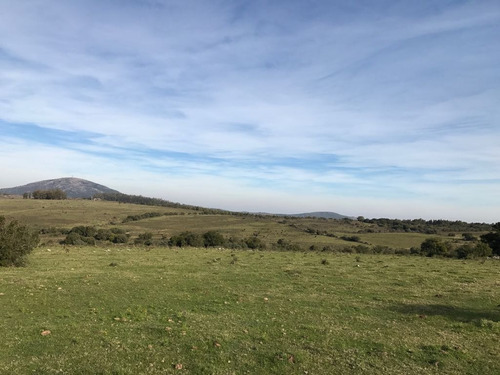 Hermoso Campo De 123 Has. Vistas A Las Sierras (ref. 2117)