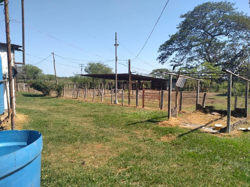Imagen 2 de 13 de Finca En Barinas Carretera Vieja A 20 Min..de Barinas