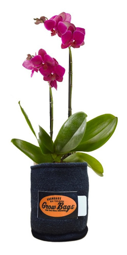 Imagen 3 de 10 de Mejor Maceta Tipo Smartpot Geotextil 3 Litros