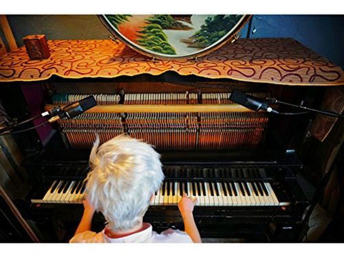 Microfone de condensado de diafragma grande Se Electronica X1 S, cor preta
