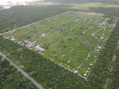 Imagen 19 de 21 de Terreno En Venta En Yucatan A 6 Minutos De La Playa Sn Crisa
