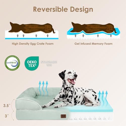 Cama Ortopédica Para Perros Medianos, Espuma Viscoelástica,