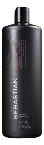 Kit Sebastian Professional Penetraitt - Sh E Cond