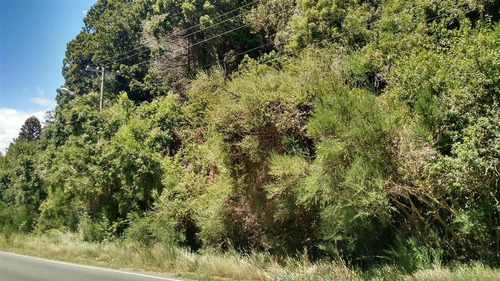 Imagen 2 de 10 de Oportunidad!! Lote Sobre Avda Bustillo Km 20,5