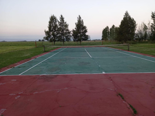 Imagen 9 de 18 de Alquiler Campo San Jose- San Vicente
