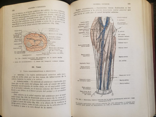 Compendio De Anatomía Y Disección Rouvière 3ra. Edición 1975 (Usado)