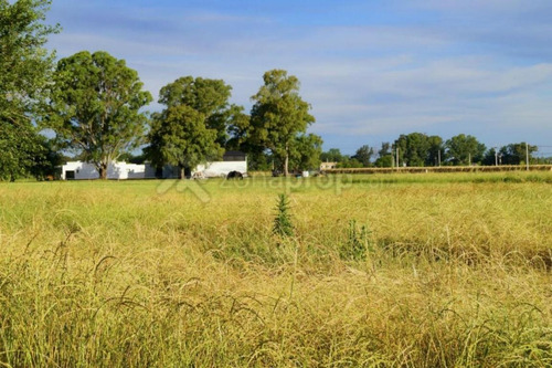 Imagen 8 de 11 de Lote San Miguel Del Monte