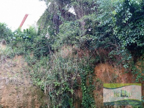 Imagem 6 de 7 de Lote / Terreno Em Companhia Fazenda Belem - Franco Da Rocha - 813