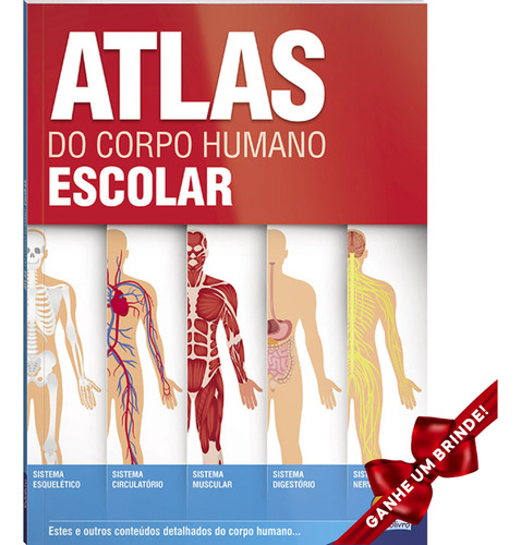 Livro Atlas Do Corpo Humano Sbn Crianças Filhos Infantil