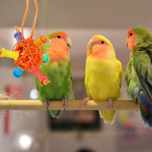 1 Juego De Juguetes Para Masticar Loros, Jaula De Pájaros, P
