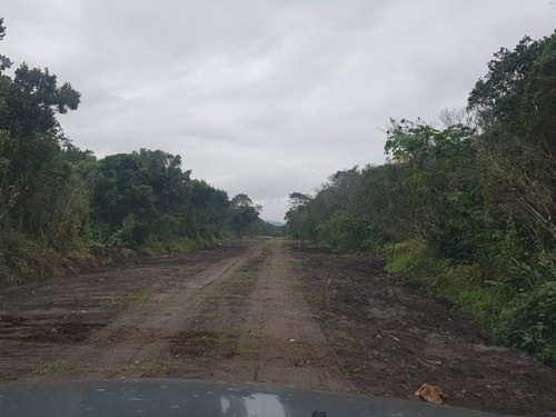 Imagem 4 de 9 de Lote No Jardim Fenix, Em Itanhaém, Analisa Proposta À Vista
