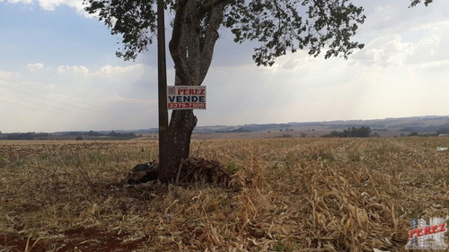 Imagem 23 de 30 de Chácaras_sítios_fazendas Para Venda - 13650.3266