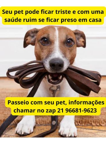 Passeio Com Seu Pet