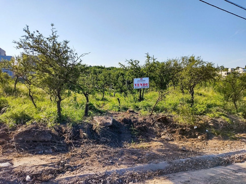 Imagen 3 de 12 de Lote 703 Metros San Antonio De Arredondo