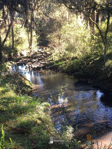 Imagem 17 de 22 de Chácara À Venda, 45000 M² Por R$ 529.900,00 - Zona Rural - Caxias Do Sul/rs - Ch0003