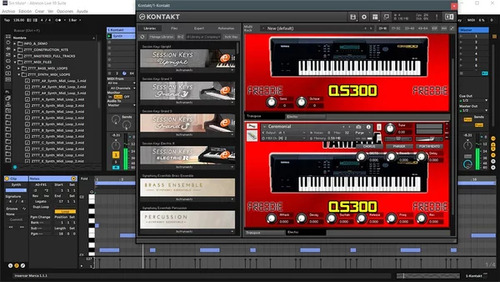 Bl Sounds - Yamaha Qs 300 (kontakt)