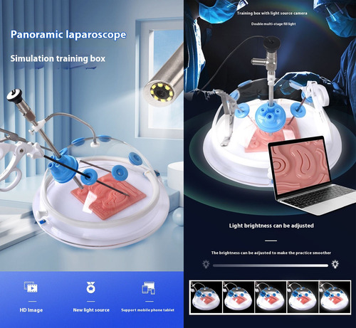 Entrenador De Simulación De Cirugía Laparoscópica+endoscopio