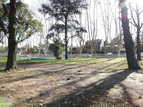 Local - Punta Chica