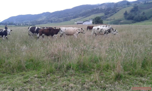 Imagen 6 de 15 de Fincas En Venta