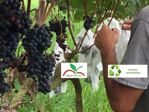 Sacos Agro Tnt C/ Elástico25x40cm Proteção Frutas 50un