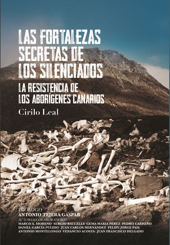 Las Fortalezas Secretas De Los Silenciados, De Leal Mújica, Cirilo. Editorial Herques, Tapa Blanda En Español