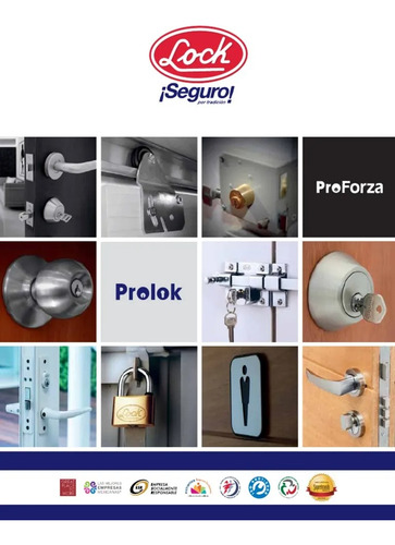 Cierrapuertas Hidrulico Prolook L5203al Automatico 70kg Alum