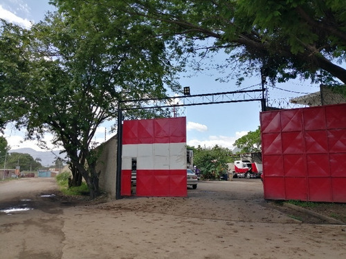 Imagen 10 de 12 de Galpón Industrial En Urb. Campo Solo, Og-062