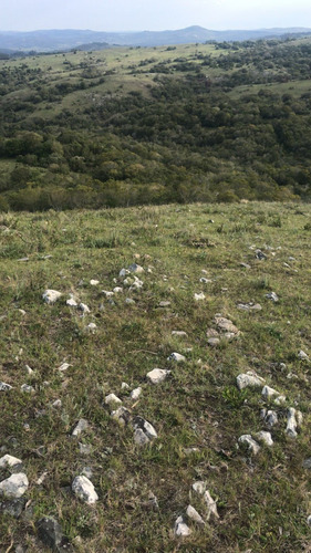 Campo Con Cerro En Ruta 60