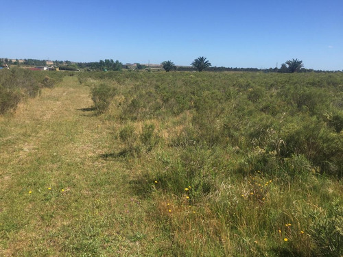 Vende Chacra En Excelente Punto Sobre Camino A 1 Km De Ruta