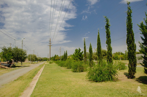Imagen 3 de 4 de Lotes En Venta, Villa Albertina, Villa María