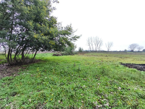 Venta Parcela 2 Hectáreas 1/4 A Orilla De Camino (177213)