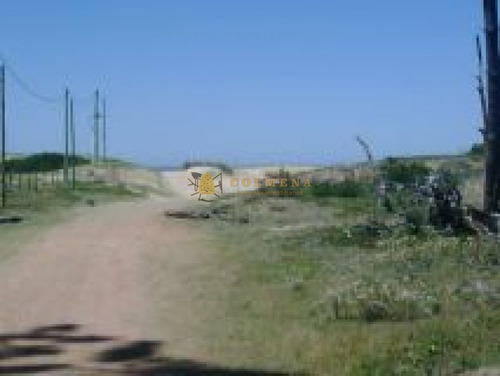 Casa En Chiguagua - Muy Cerca De La Playa - Consulte !!!!!!!- Ref: 2813