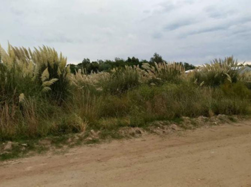 Terreno En Venta - 1.125mts2 - Balneario Marisol, Coronel Dorrego