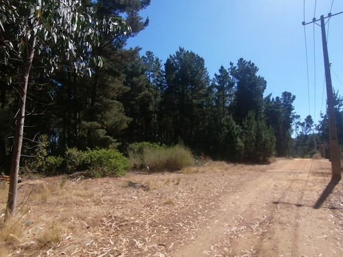 Parcela, Plana, A Orillas Del Camino Antiguo A Las Docas