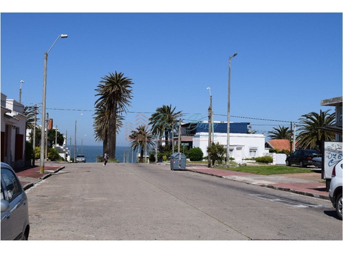 Apartamento En Peninsula, 1 Dormitorios *- Ref: 2789