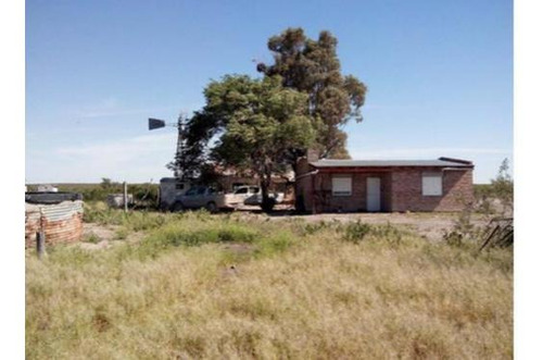 Imagen 2 de 8 de Campo - La Pampa- Pichi Mahuída Y Cuchillo Có- Ganadero