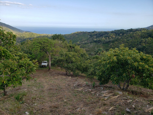 Finca De Aguacate En Venta En Paraíso Barahona Con Vista Al Mar