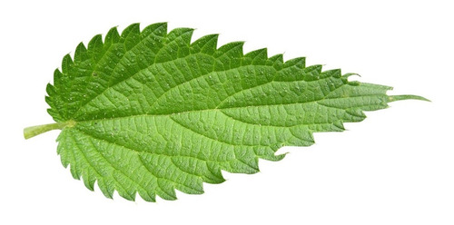 Fertilizante, Insecticida Organizo Puri - L a $5333
