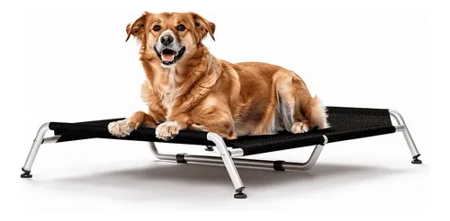 Cama Para Cachorro Suspensa Elevada Pet Grande 90x60 Até50kg Pret...
